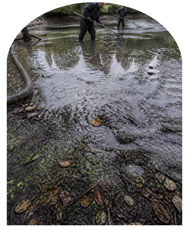 Очистка пруда в Раменском от ила мусора и водорослей с вывозом